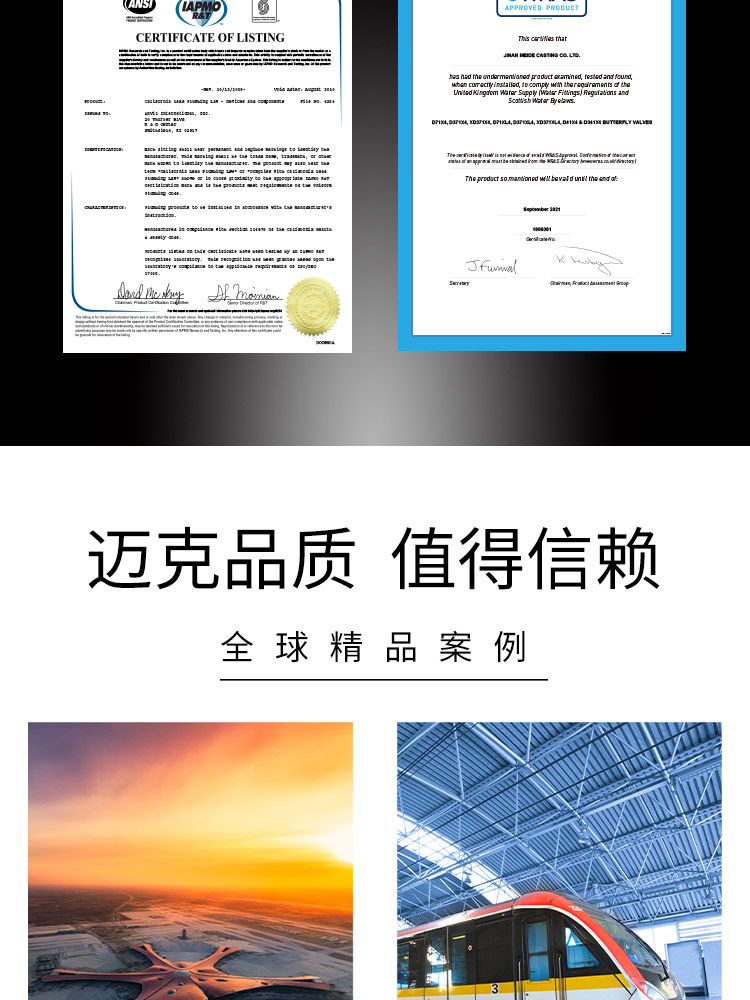 膠瓣式旋啟式止回閥