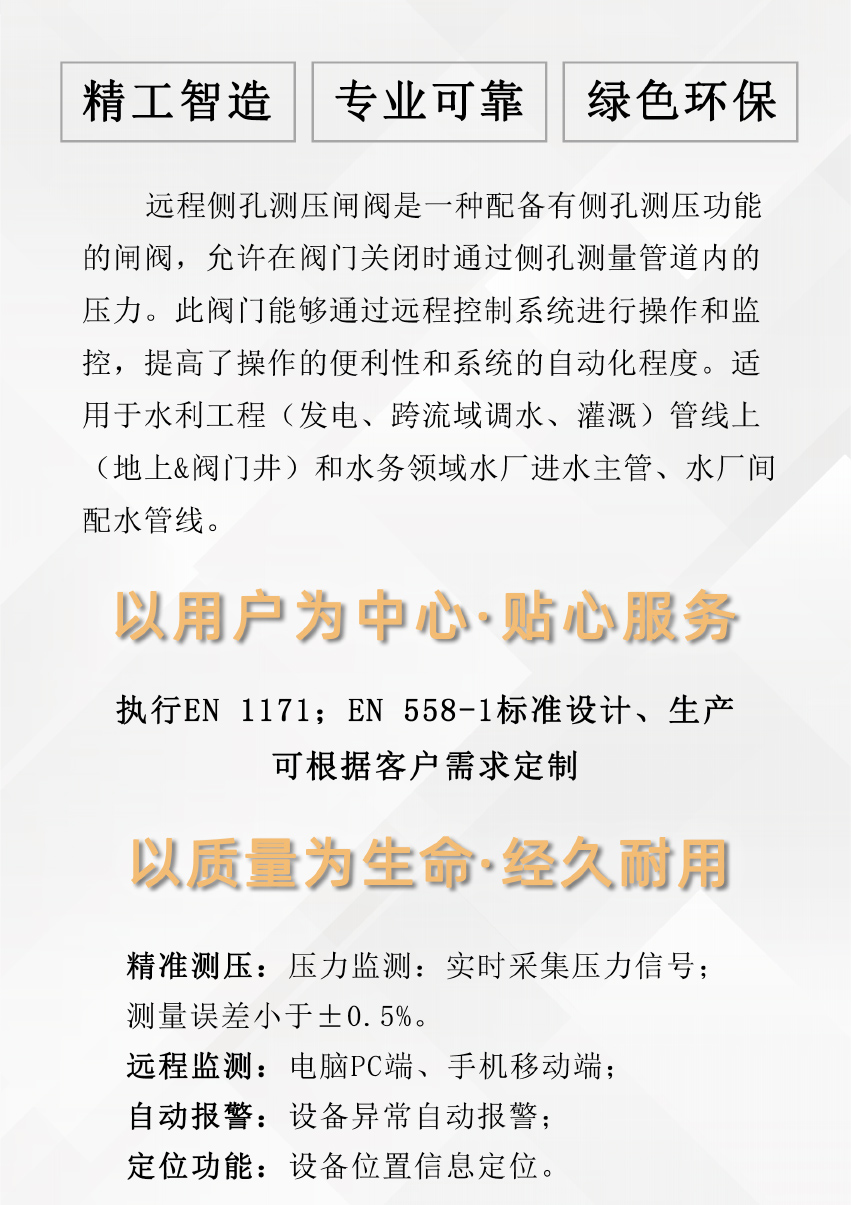 遠程側孔測壓閘閥_02.jpg